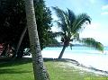 Hotel Paradise Sun sur Praslin (15)